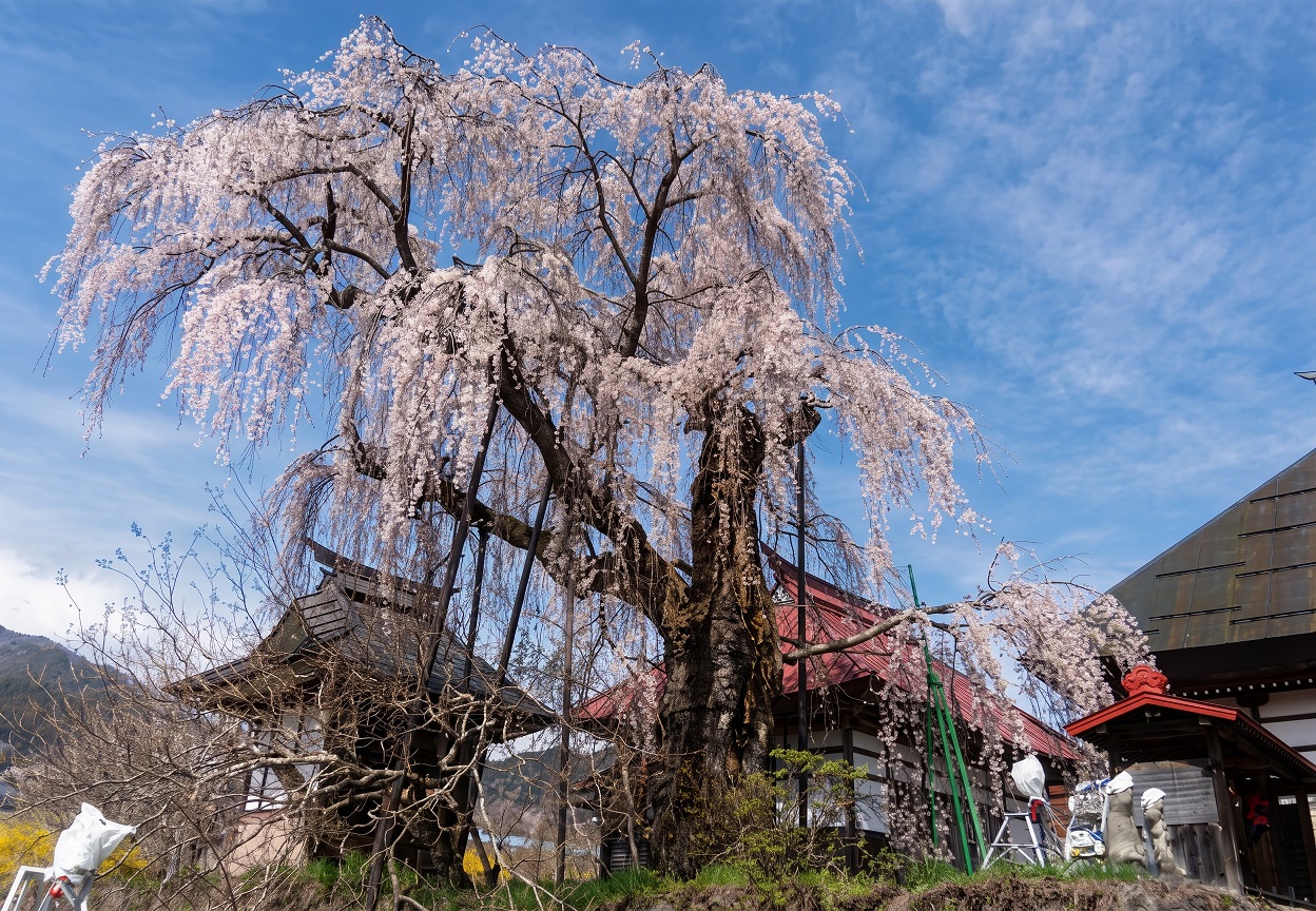 ryuukokuji
