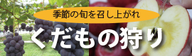 季節の旬を召し上がれ　くだもの狩り