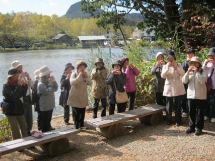 koca17shiga