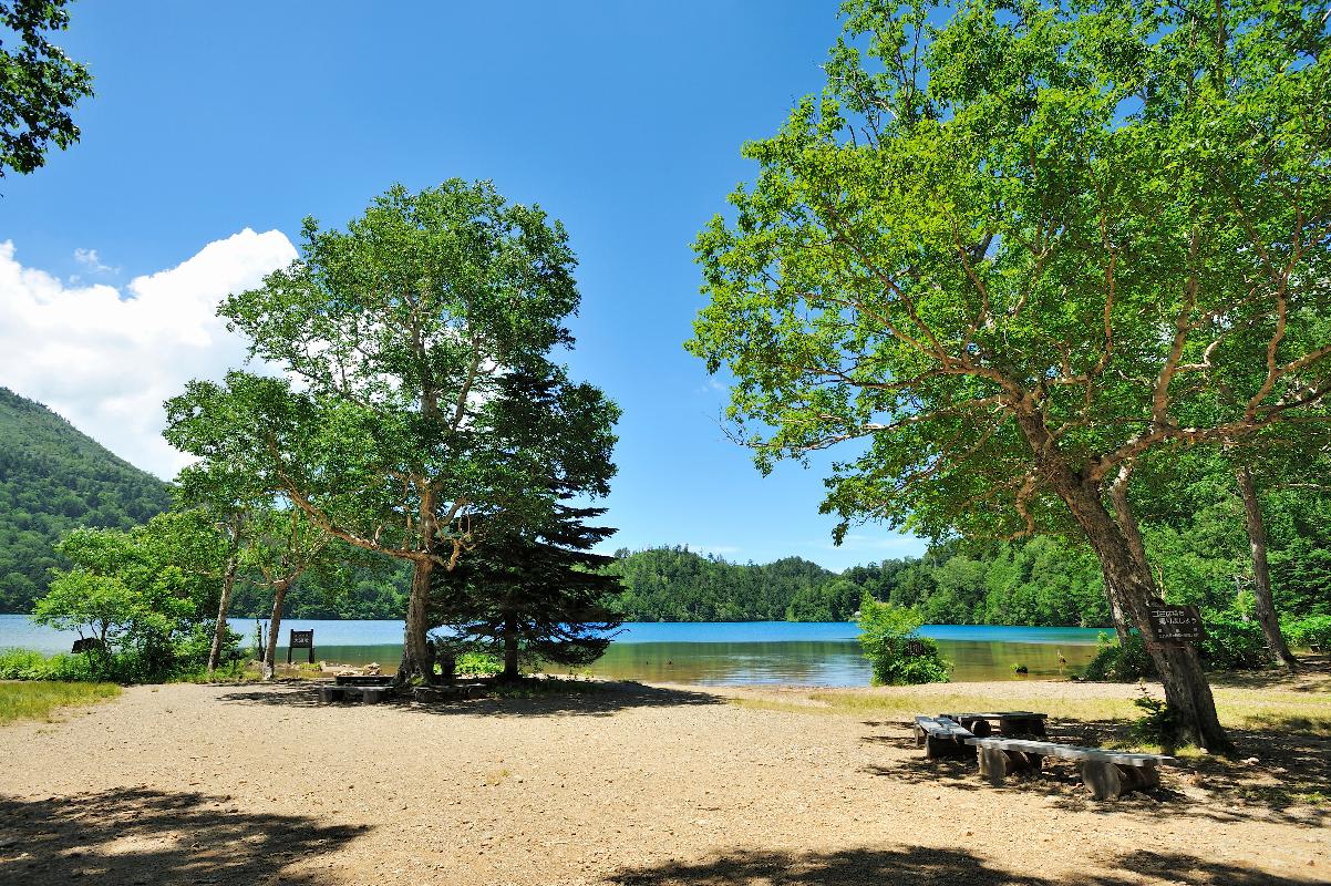 大沼池　夏