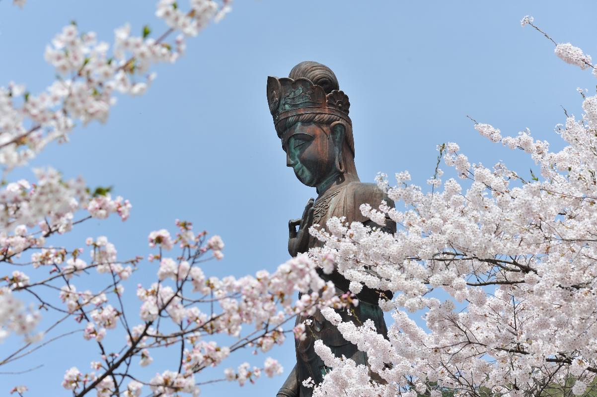 湯田中渋温泉郷　春