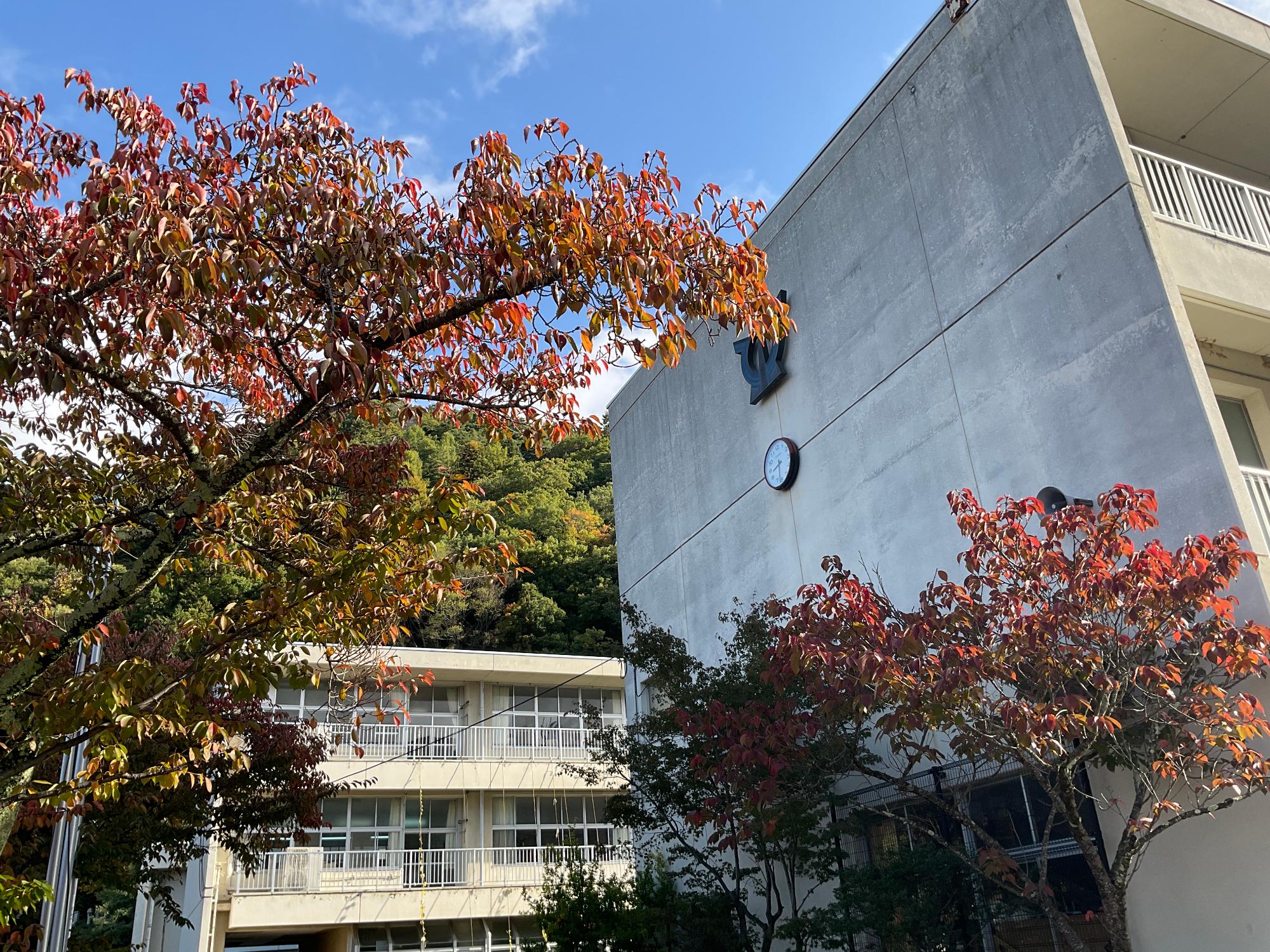 東小学校　秋