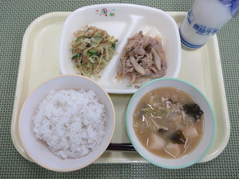 ごはん　牛乳　ふとわかめのみそ汁　豚丼の具　じゃこサラダ