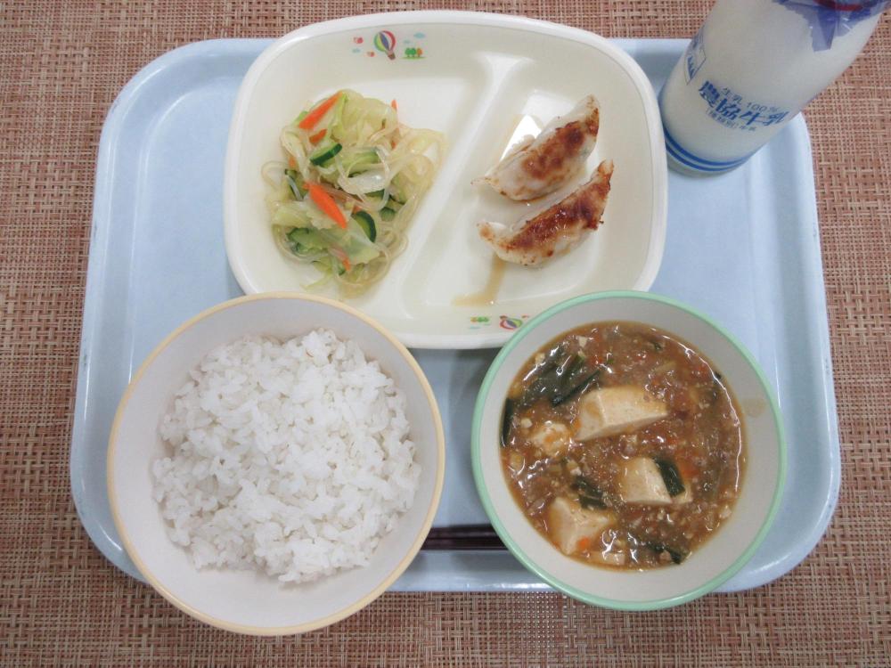 ごはん　牛乳　マーボー豆腐　蒸しぎょうざ（2個）・酢じょうゆ　春雨サラダ