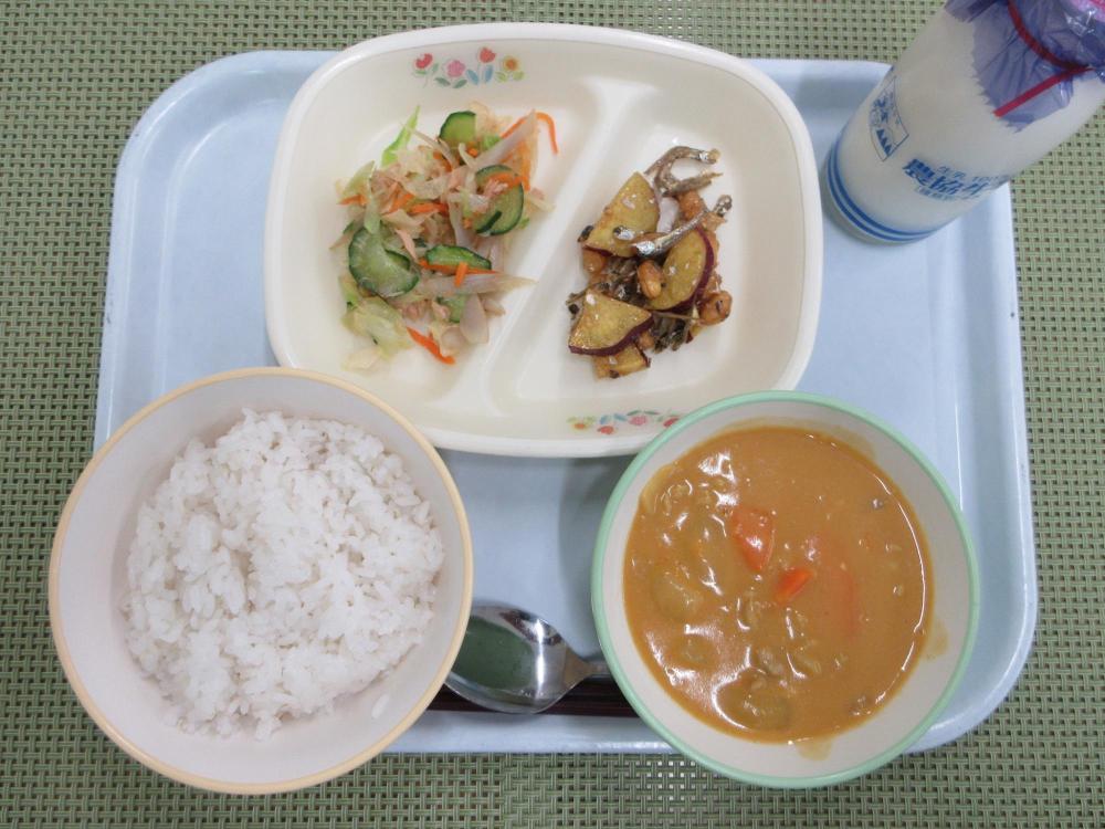 ごはん　牛乳　ポークカレー　大豆とさつまいものカリカリ揚げ　ツナとごぼうのサラダ